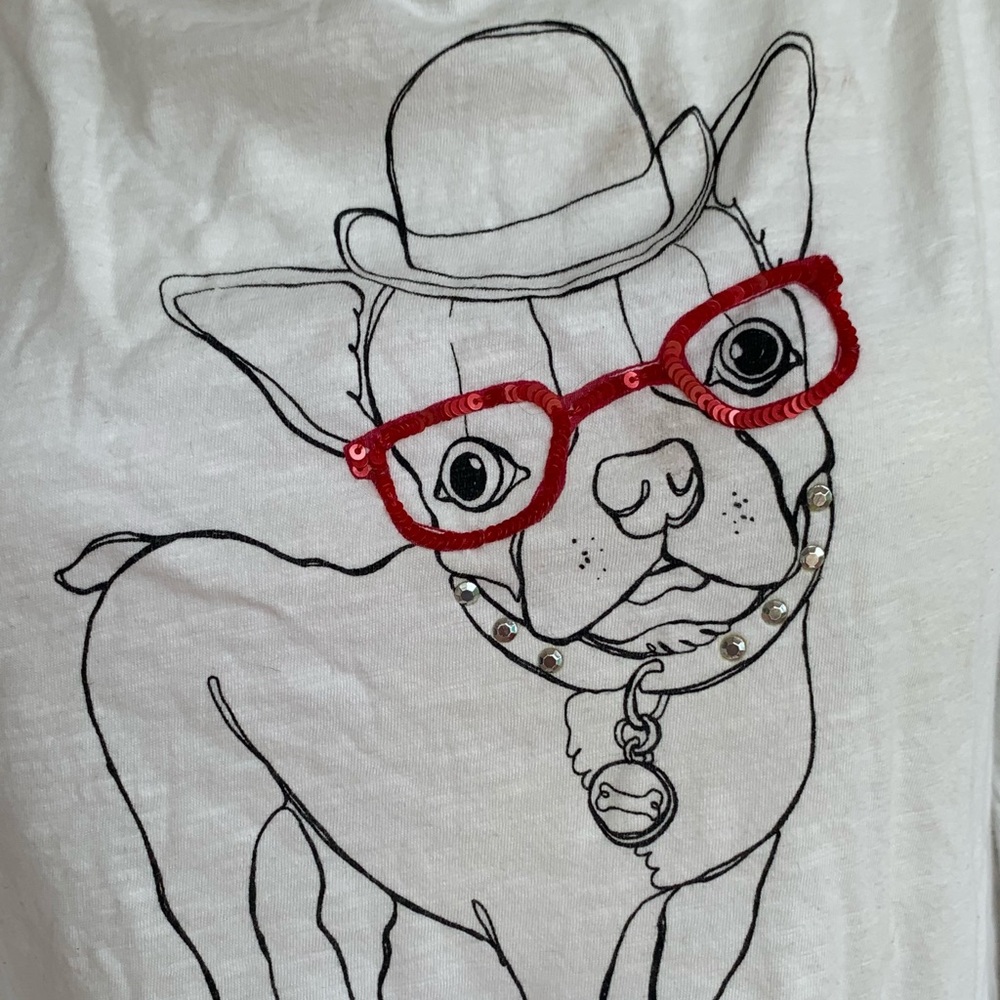 Boston terrier or Frenchie dapper dog Loft